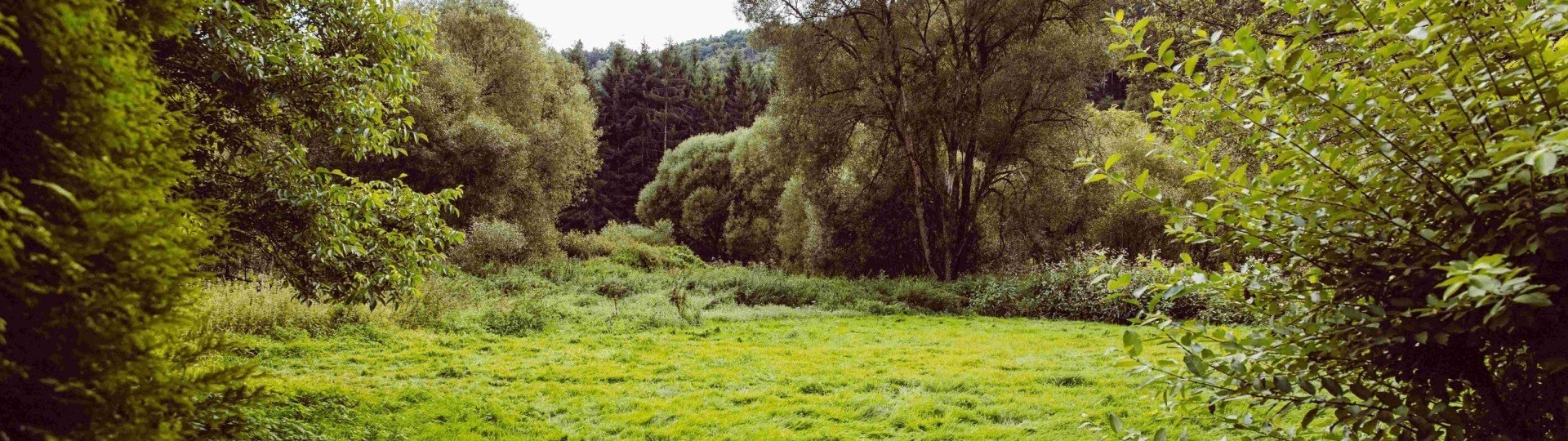 Camping woltzdal in de luxemburgse ardennen