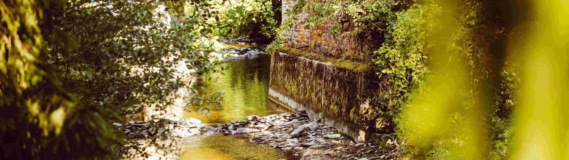 Camping woltzdal luxemburg ardennen