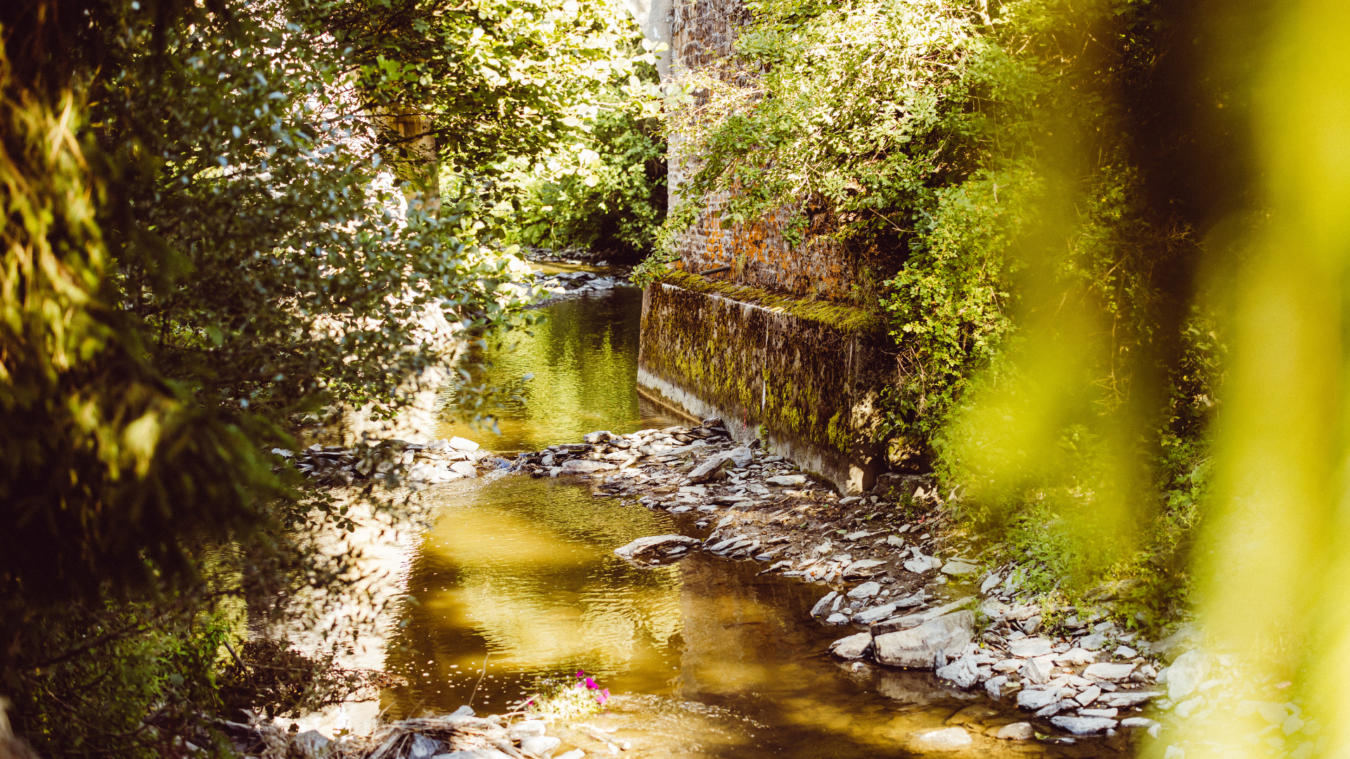 Aktiv in und um Woltzdal